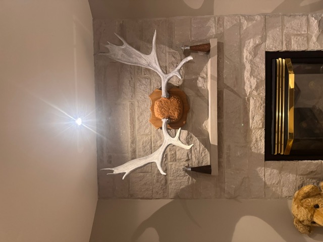 Mounting installation