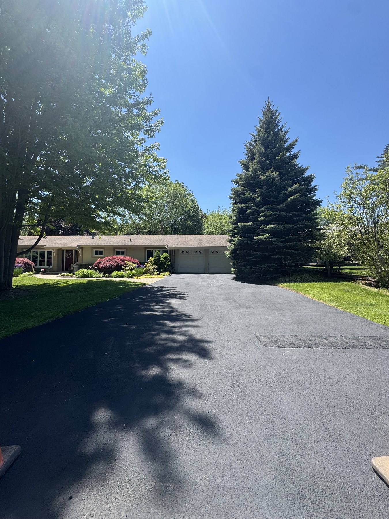 Freshly sealed black asphalt driveway after sealing