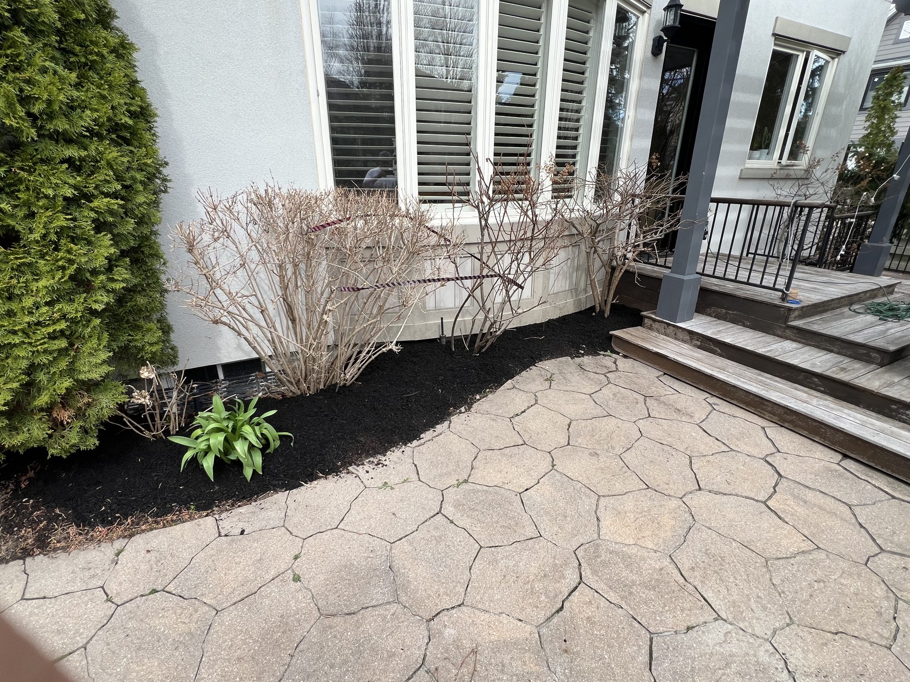Landscape bed refresh