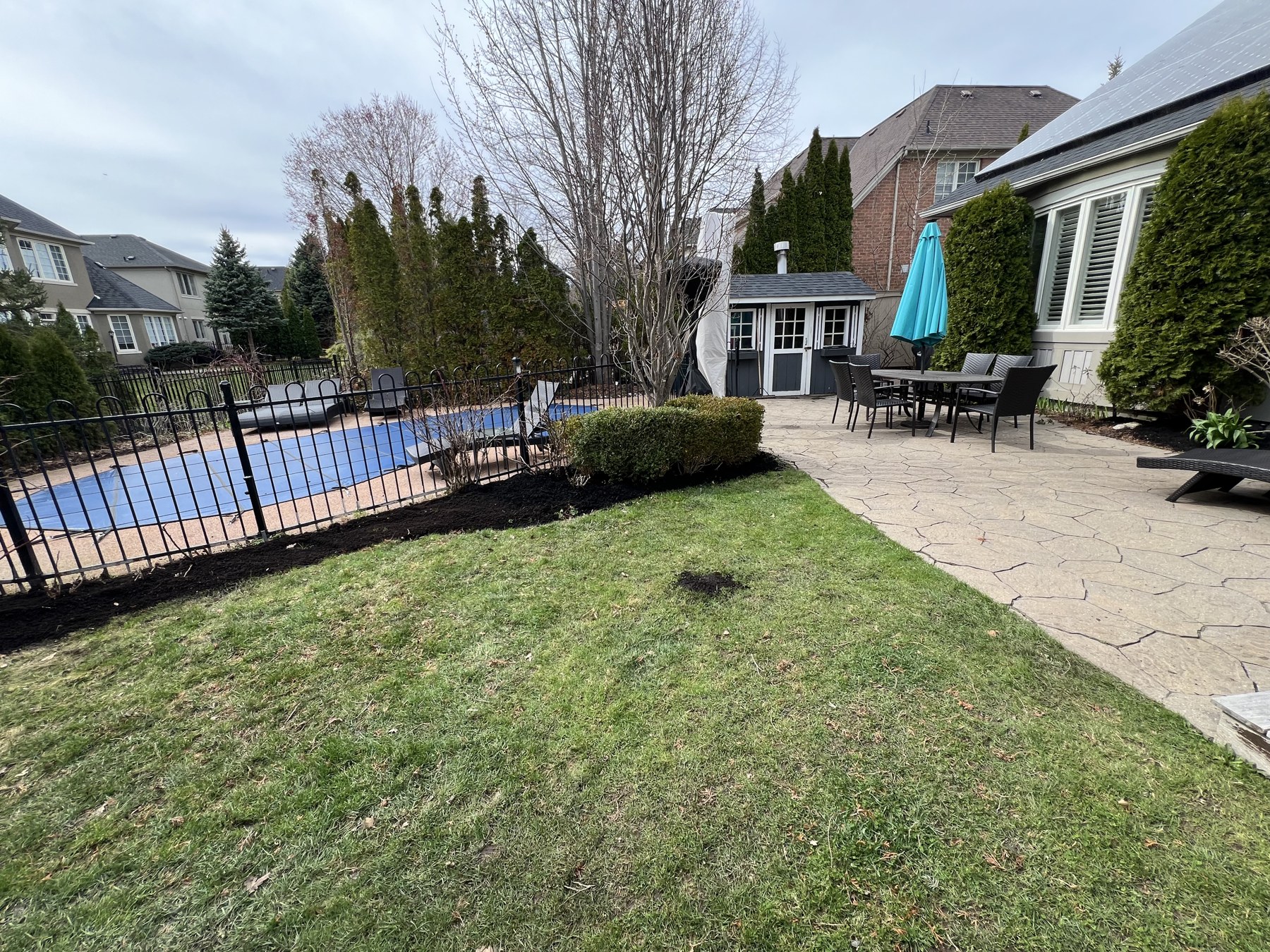 Backyard and pool area